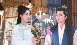 将军家的小娘子电视剧免费观看,穿越古代，邂逅将军的爱情传奇